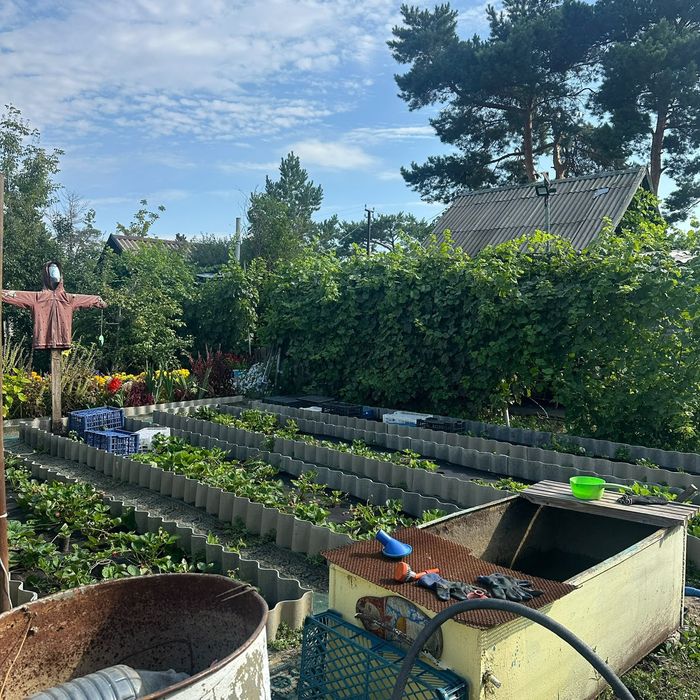 Продам дачу в городе Лисаковск