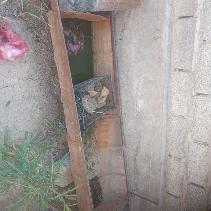 Шөп турайтын маторшик, науа