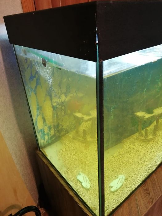 Продам аквариум