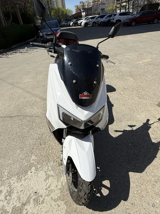 Продается мопец Алмотор