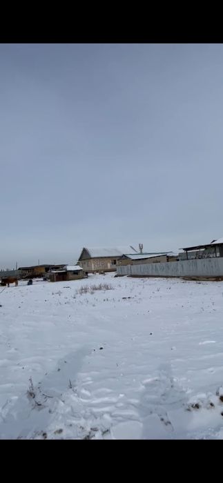 Арай ауылынан өте арзан бағада