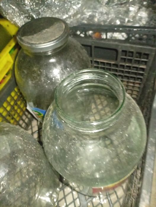 Ишлатилган бонкалар сотилади.