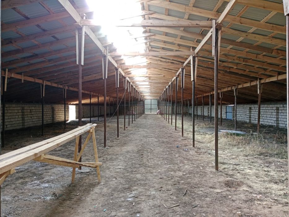 Продам хозяйства зимовка