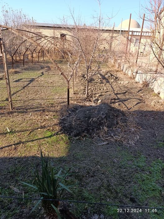 Теплица сотилади.