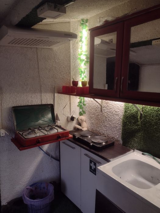Inchiriez ap la casa pt 1 singura persoana plus o pisica sau un catel talie mica