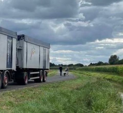 Remorca agricola cereale - bena basculabila