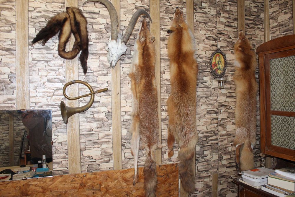 Кожа на лисица - естествена