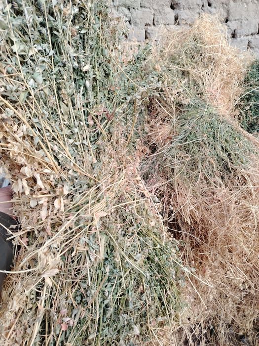 Beda bog'langan sotiladi.