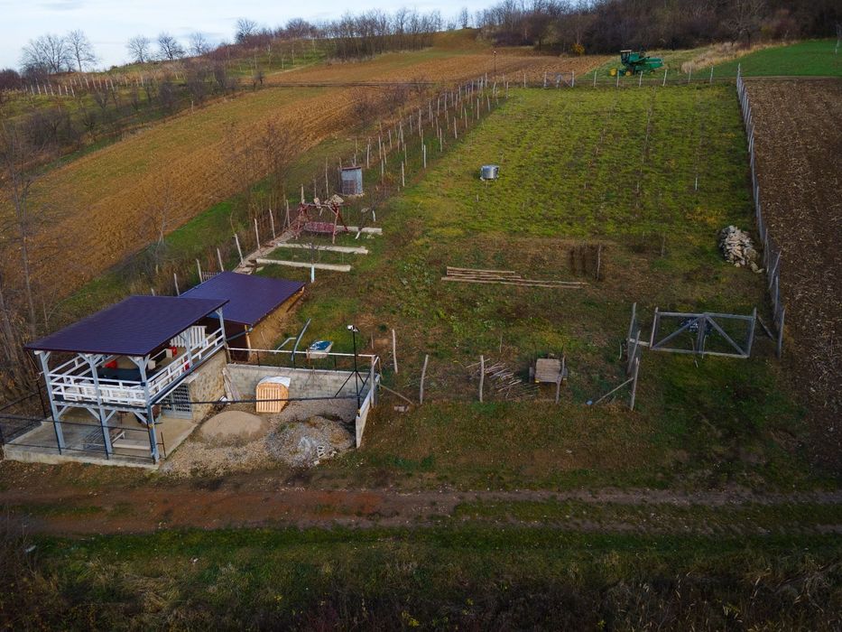 Teren intravilan de vânzare în Viisoara, județul Bihor- zonă liniștită