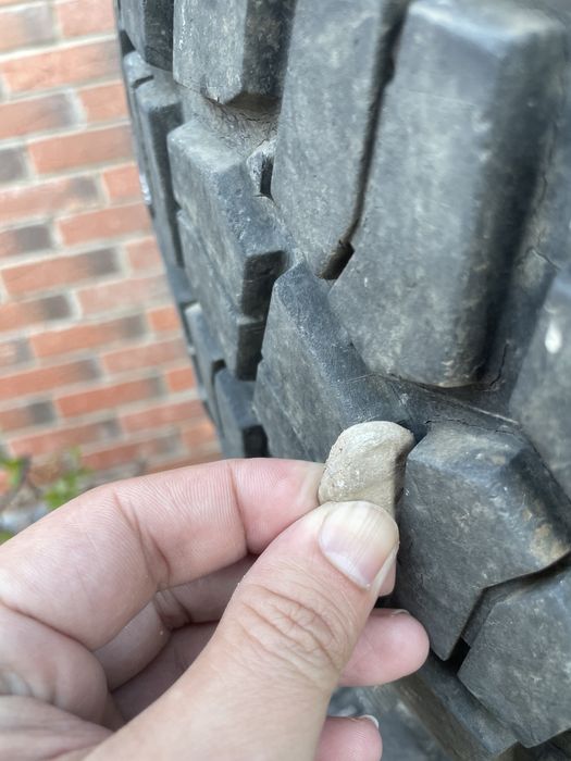 Продам балоны с диками срочно