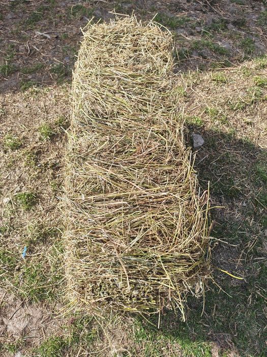 Baloți fân, lucernă