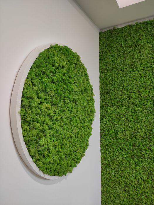 Кръгове със скандинавски мъх