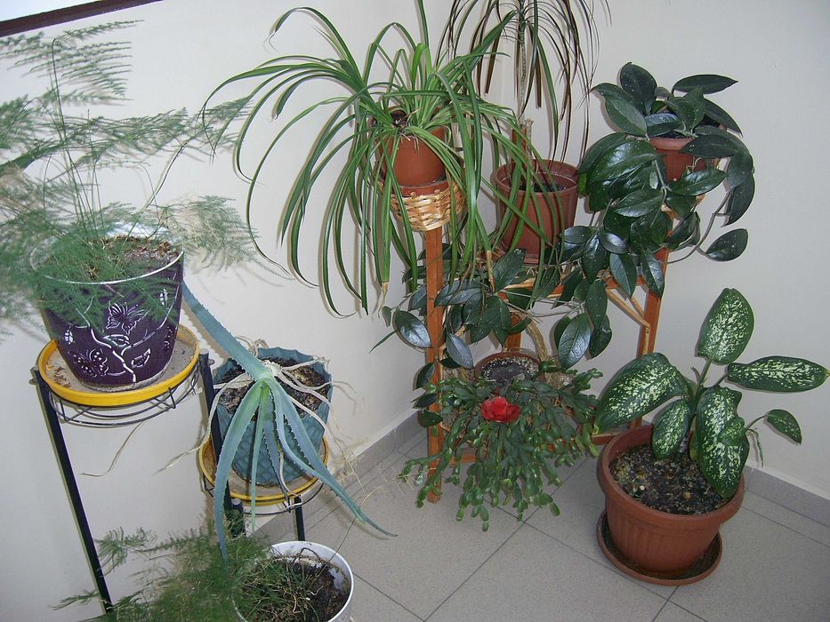 фотоапарат Praktica DCZ 6.3