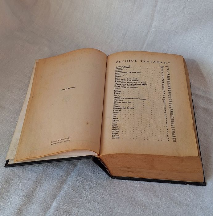 BIBLIE  printata Danemarca