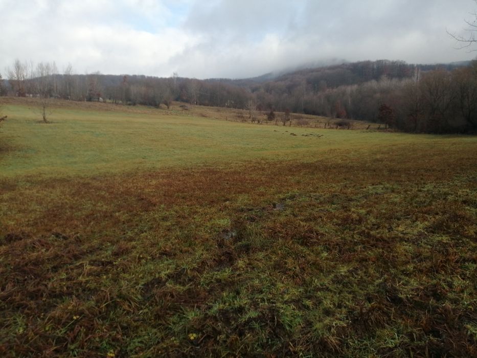 Teren de vânzare sovata