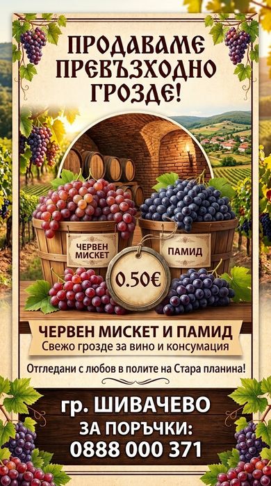 Продавам грозде червен мискет и памид