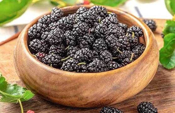vand aronia bio si mure bio proaspat culese sau la comanda