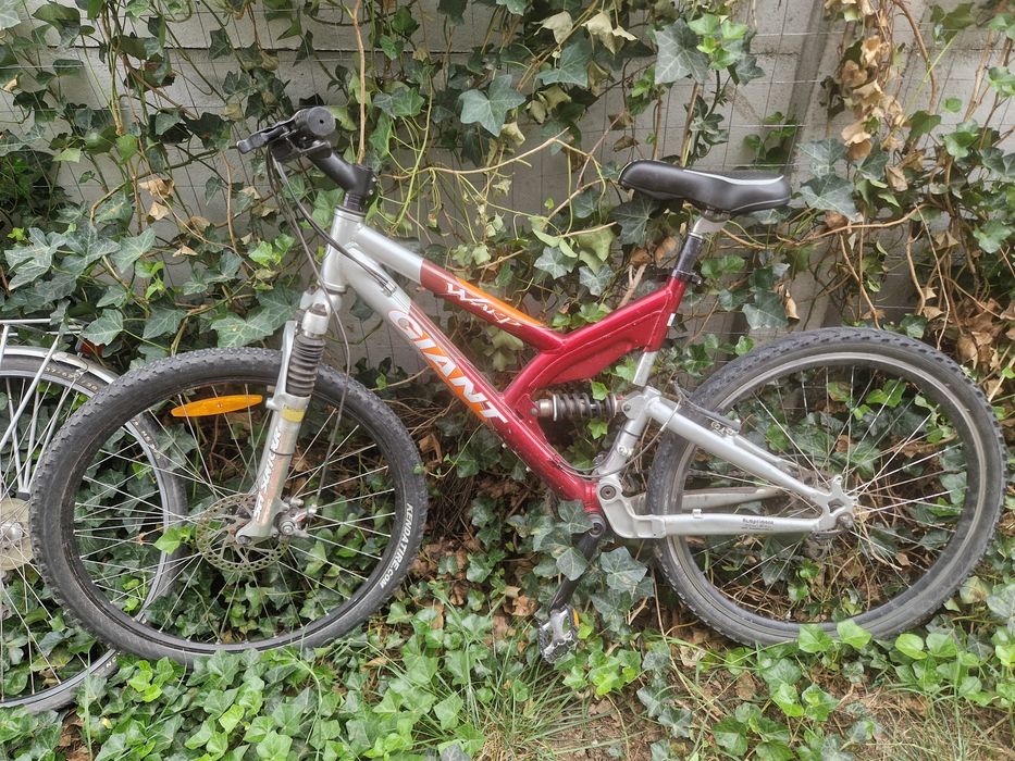 Giant Biciclete 1000 ambele