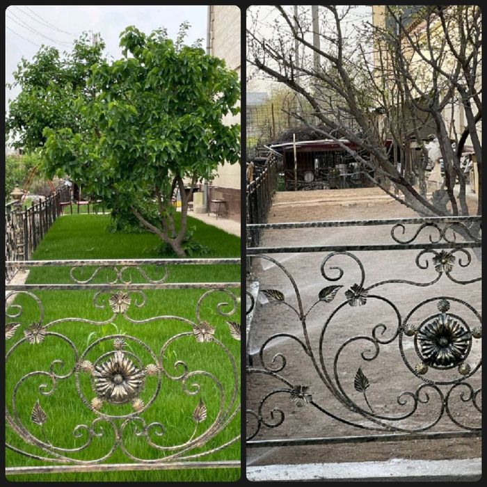 Газон посадка газон экамиз