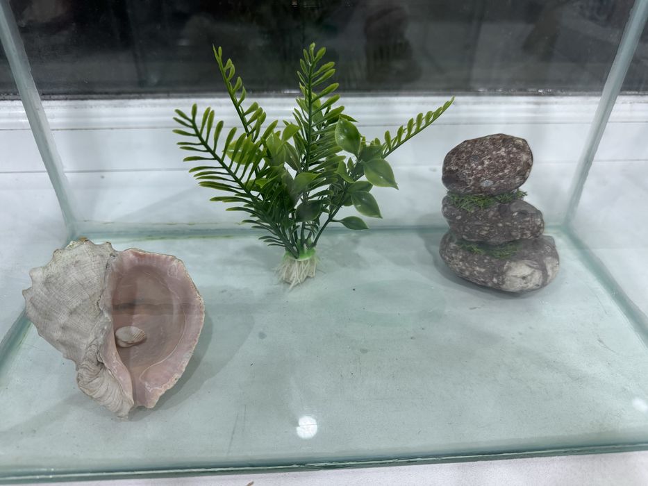 Аквариум с полным комплектом