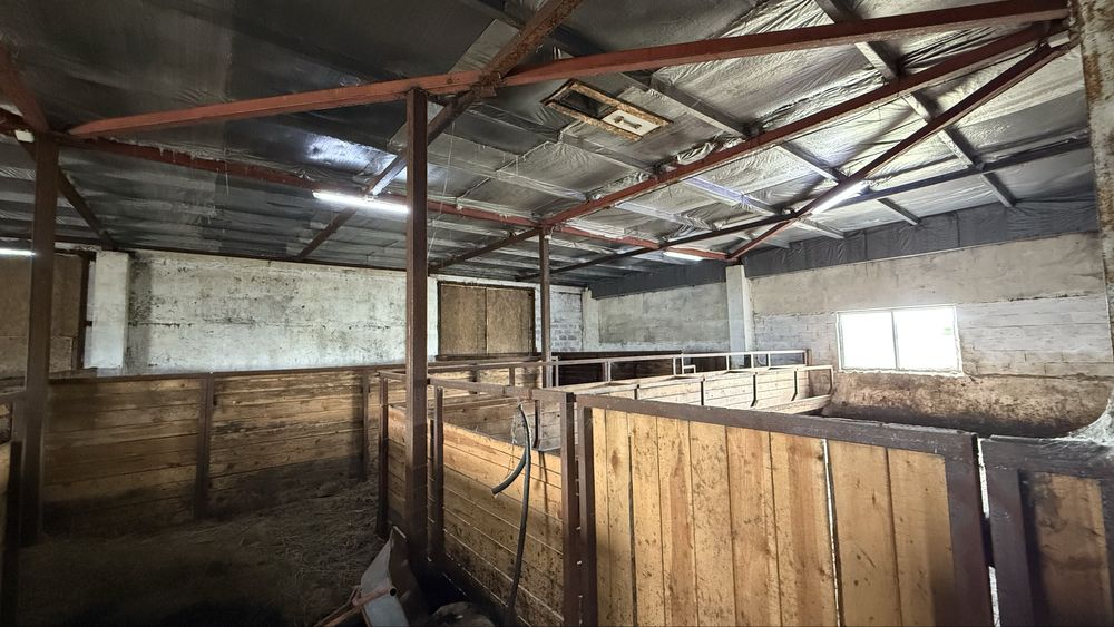 Продам хозяйство село Ошаганды