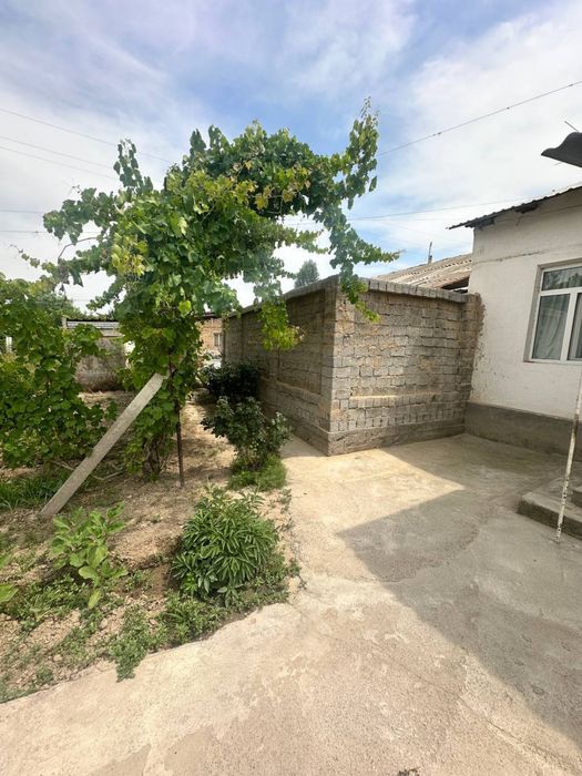 Kunlik kvartira – 1 kishiga 50 000 soʻm
