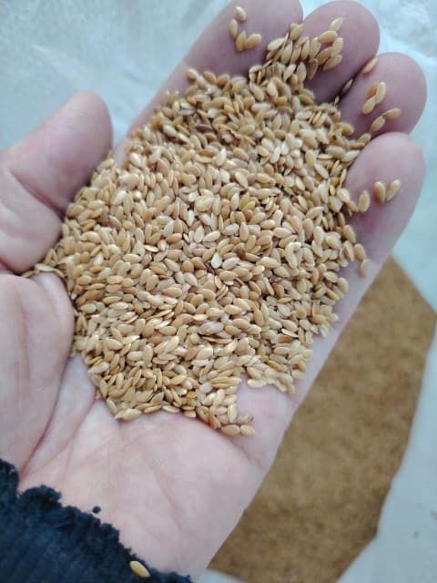 Ячмень.Платный чат! Все корма.