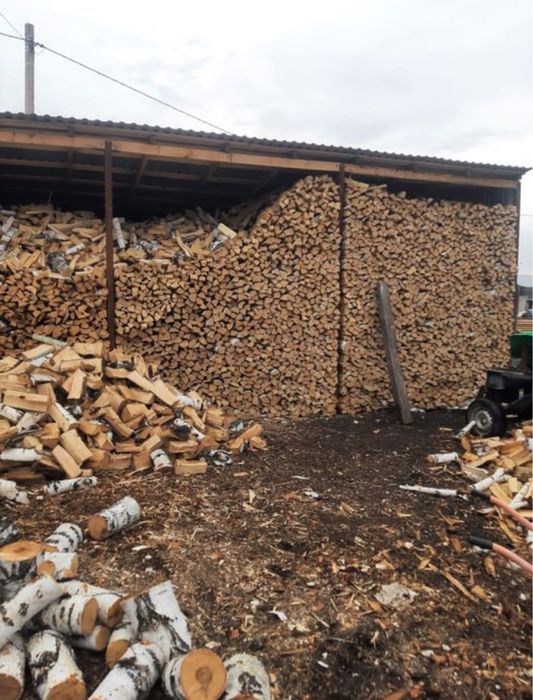 Дрова в мешках вышего сорта