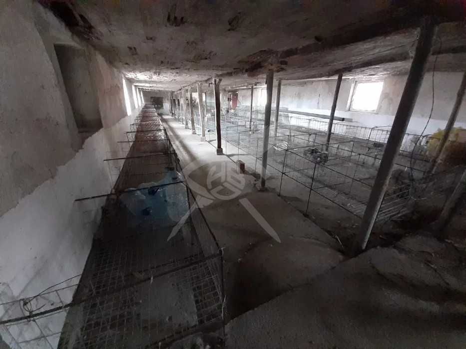 Селскостопанки имот в Караджалово 35863