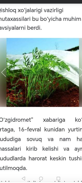 Daraxtlardi sovuqdan va isiqdan himoya qilish