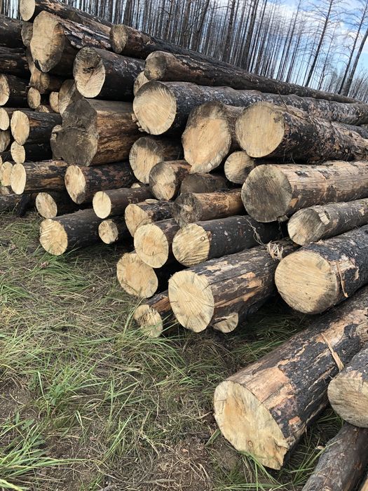 Продам лес от 2 до 6 метров ,подтоварник.,