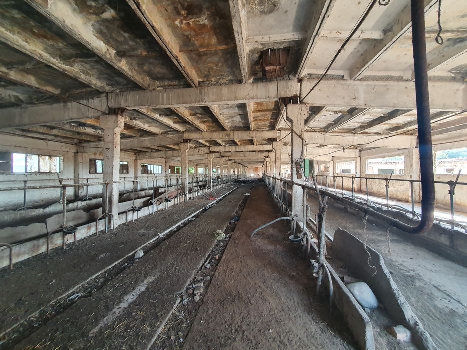 Ferma. 3.8 ga yer maydoniga ega chorva fermasi sotiladi