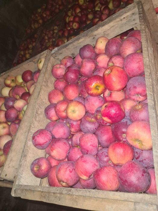 Mere proaspete de vânzare