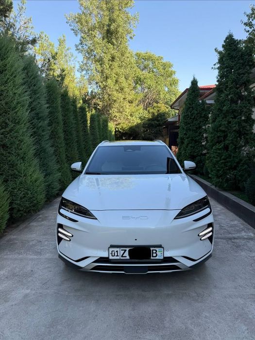 BYD Champion 605. Kraskasi toza 100%