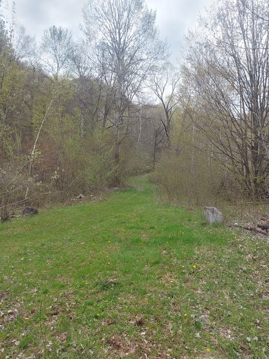 Teren la drumul național în comuna Hangu spre Poiana Largului