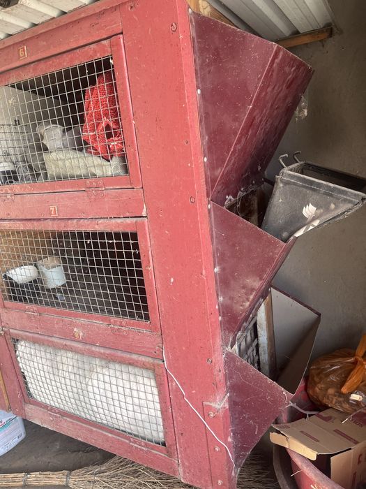 Кролятник (красивый , качественный )