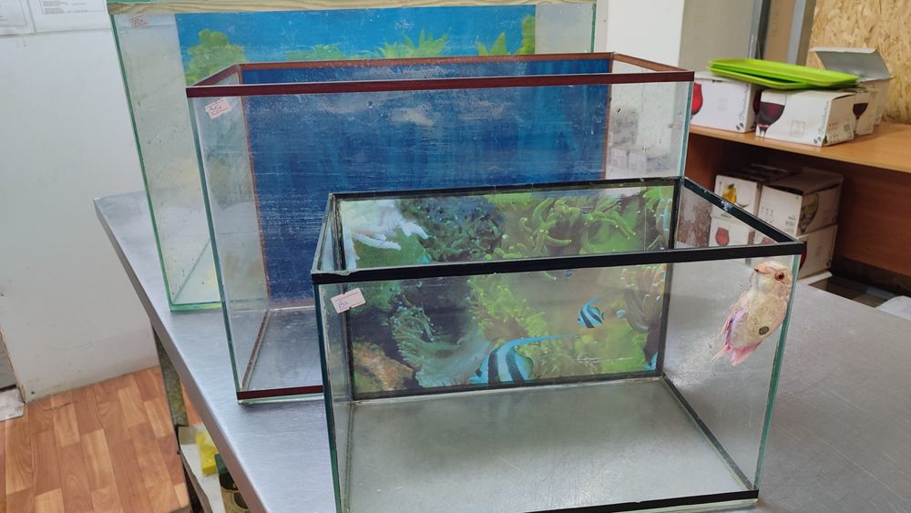 Продам аквариум для рыбок!