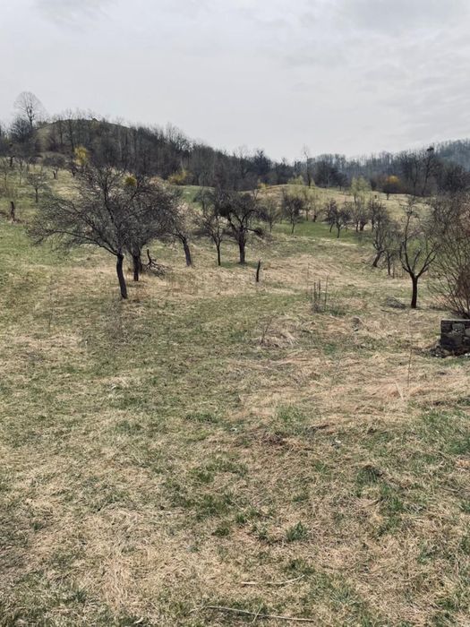 Teren Intravilan Danesti spre Cavnic