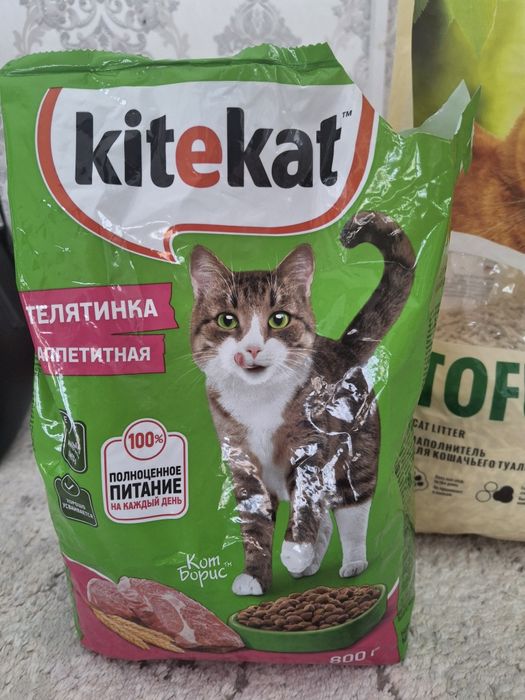 Отдам кошку бесплатно в добрые руки