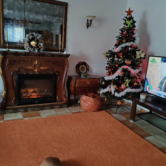 Vila Pantelimon pet friendly