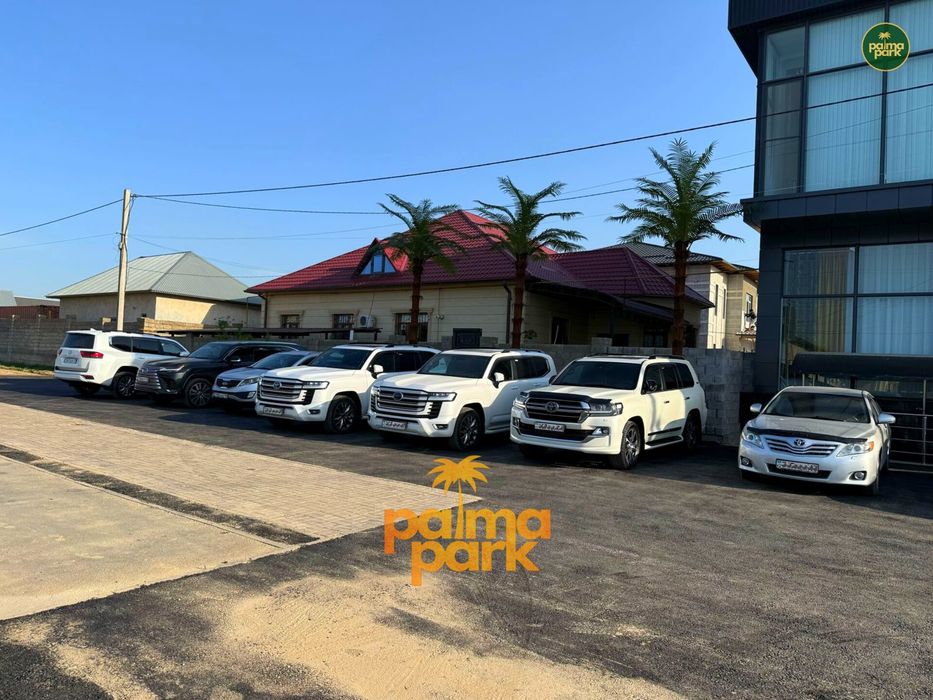 Пальма, искусственные пальмы