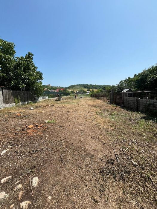 Vand teren com Curtisoara jud Olt intravilan