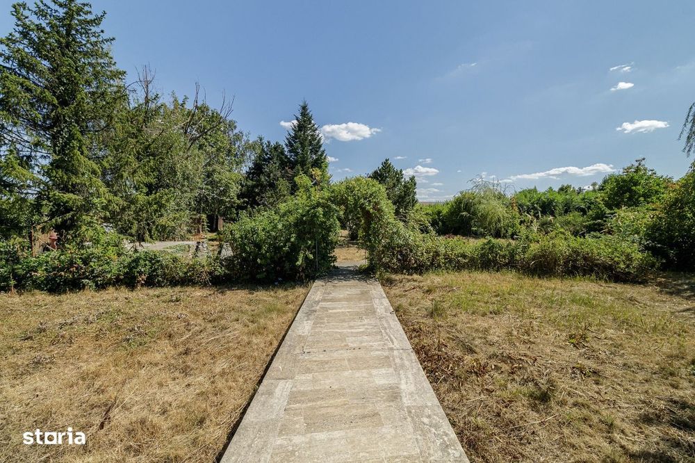 Domeniu privat 5.000 mp, cu reședință de 625 mp și piscină, Corbeanca