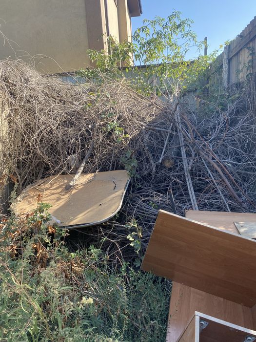 Сухие дрова бесплатно