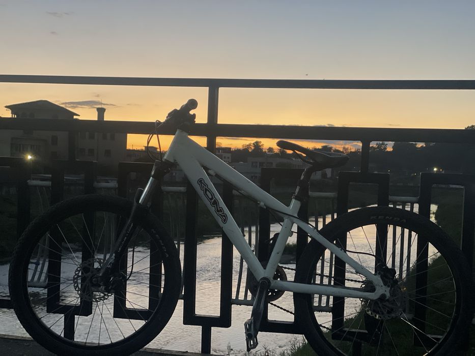 Bicicleta kona stinky