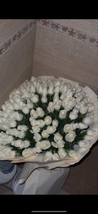 Продам цветы свежие