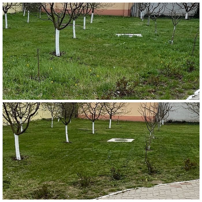 Tuns gazon și scarificări – Întreținere grădini (Persoană fizică)