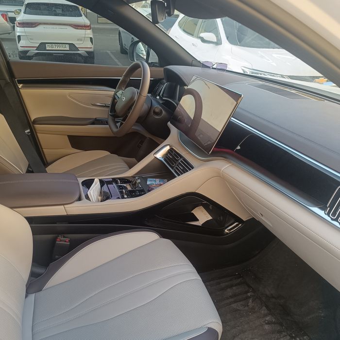 BYD champion smart 605