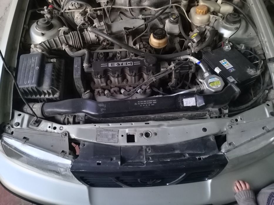 2005 sons lyuks kandesyoner