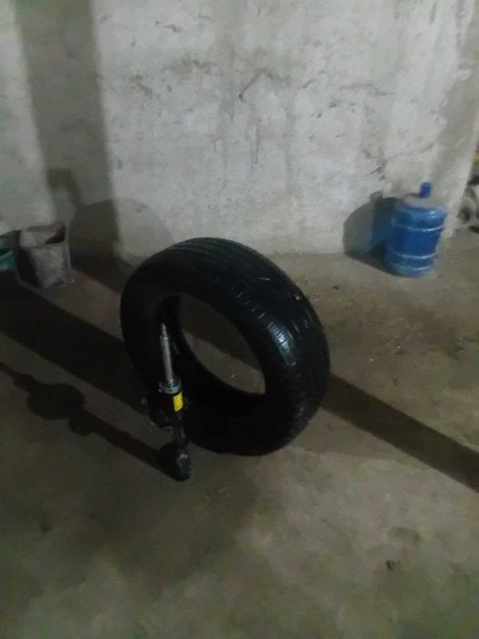 Каптива болонлари сотилади. Холати урта. Нархи 800 минг